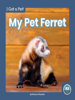 cover image of My Pet Ferret